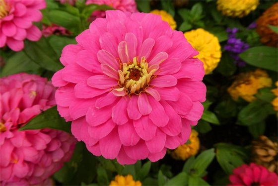 业务部门口号大全-84句