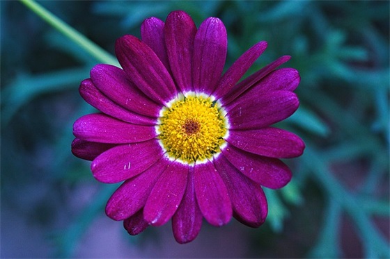 三班口号大全集 【100句精选】