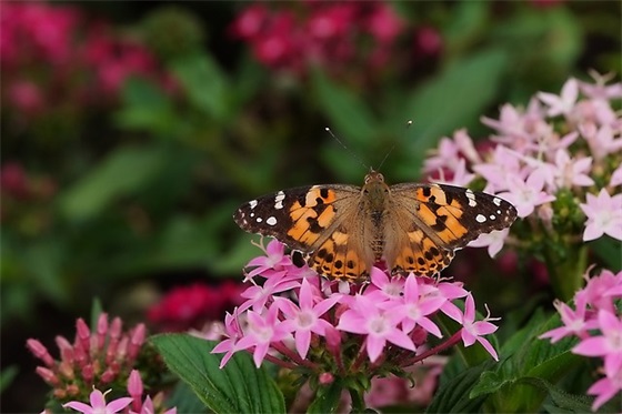 企业口号搞笑的-63句