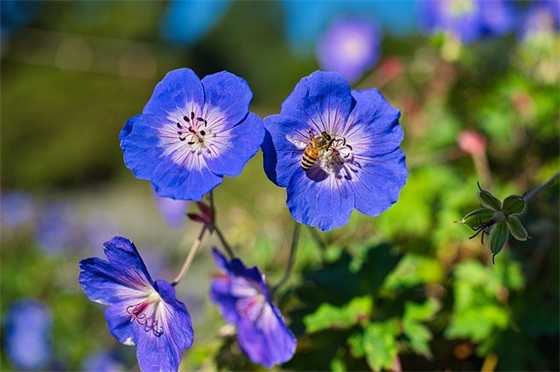 个人口号搞笑-79句