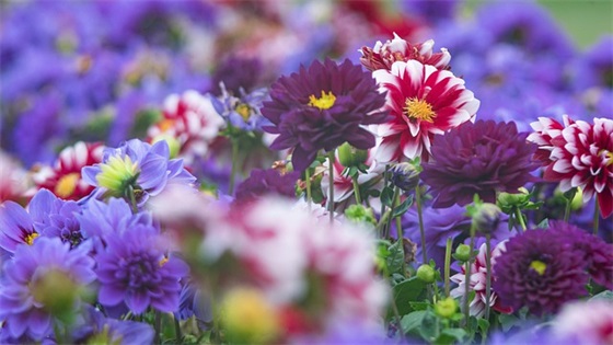 体育标语口号大全-99句