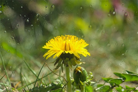 公司的宣传口号-97句