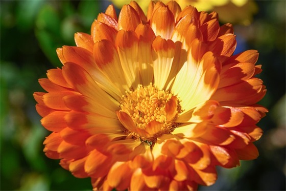 保洁公司口号-92句