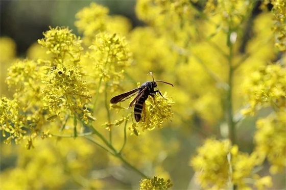 公司企业核心口号-89句