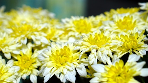 入场口号霸气 【100句精选】