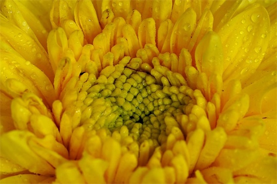 企业战略定位口号-79句