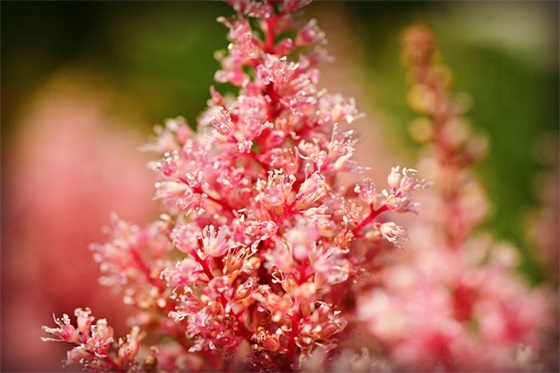 个人评选口号-87句