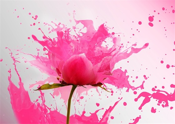 六一班级口号 【100句精选】