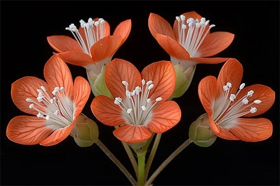 企业战略定位口号-78句