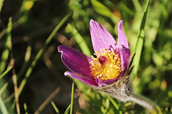 给爷爷的祝福语 【爷爷过生日给爷爷的祝福语】