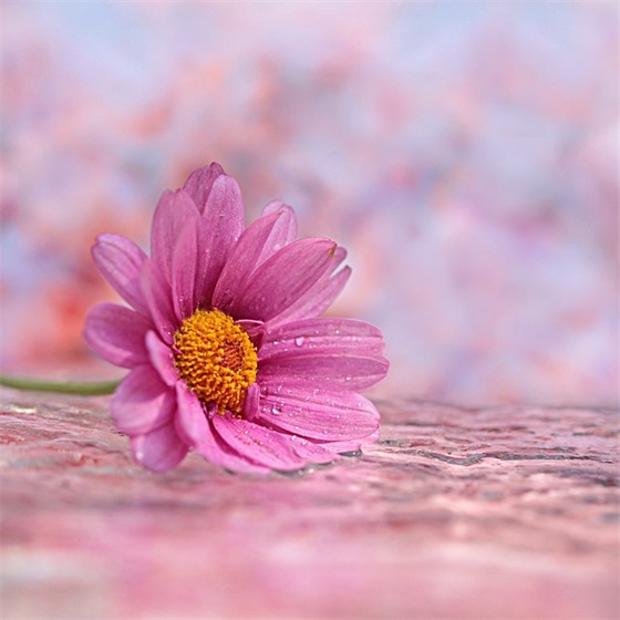 结婚祝福语6个字 【结婚祝福语6个字大全】