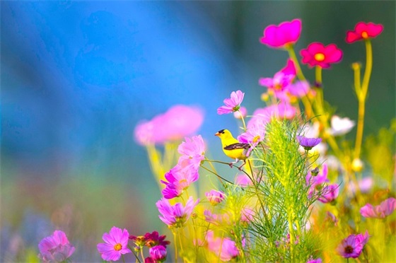 送给自己的生日祝福语 【对自己的生日祝福语 简短独特】