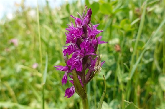 2026庆祝五四青年节主题活动口号(青年节鼓励青年励志的句子)