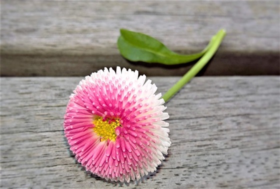 防疫宣传标语大全 抗击疫情的宣传标语有哪些