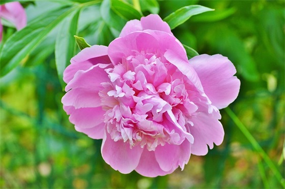 安全生产标语大全157句