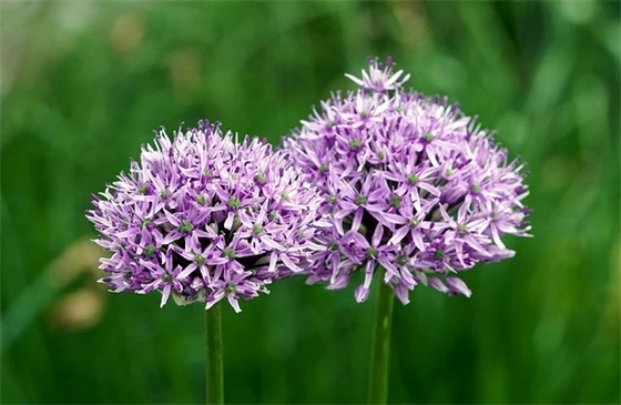 高三励志标语 给高三加油的话