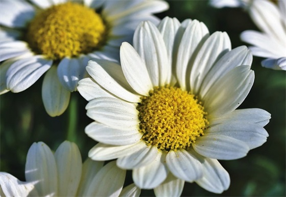 2026疫情防控口号标语条幅