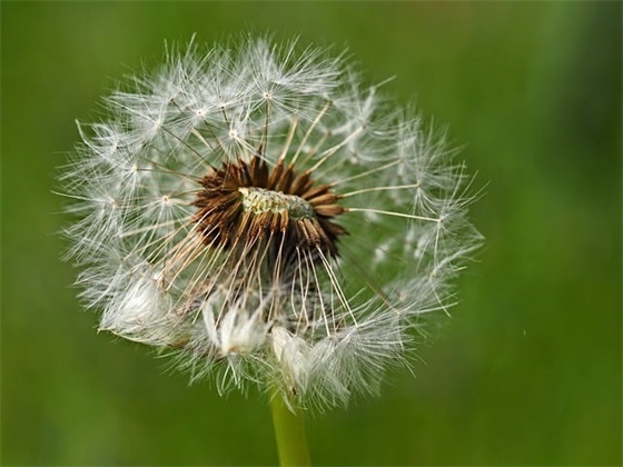 世界勤俭日主题口号简洁霸气 字口号霸气
