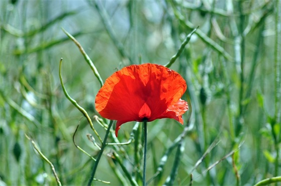 办公室企业文化标语94句