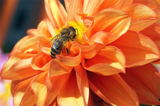 企业精神标语114句