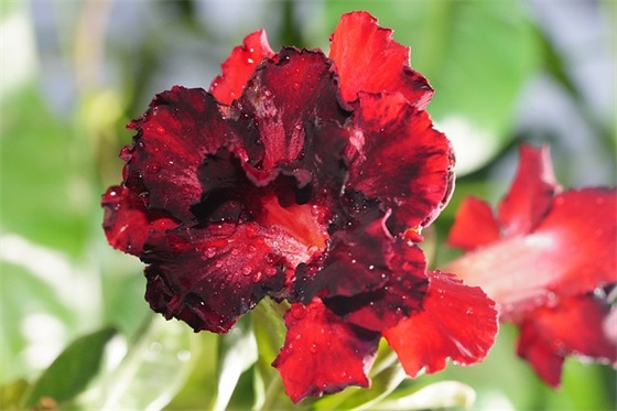 工地建筑标语121句