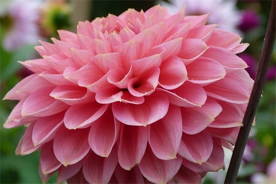 有关生产安全的标语121句