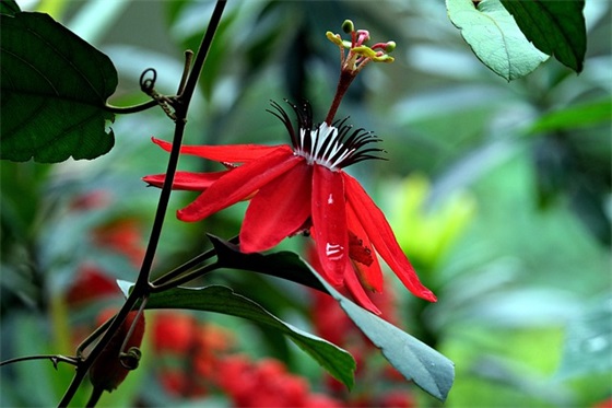 学校办公室文化标语100句