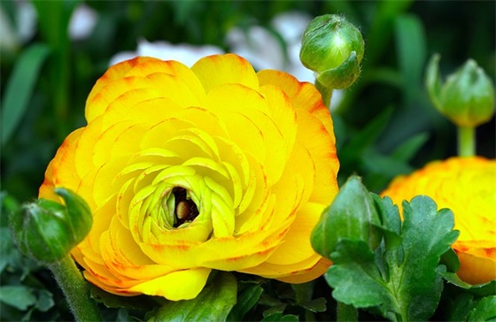 工地宣传标语110句