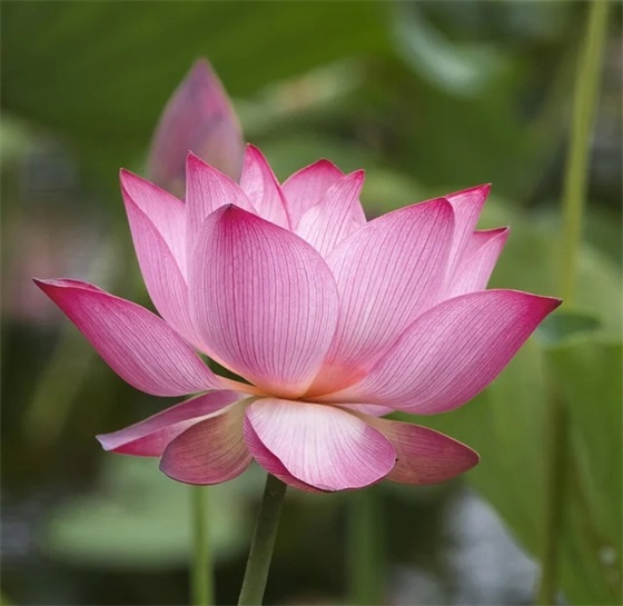 环境整治标语110句