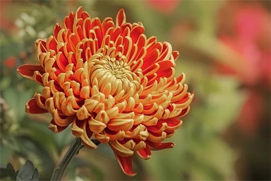 生产企业标语108句