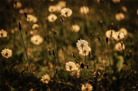 规范化标语102句