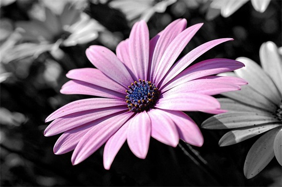 驾驶员行车安全标语121句