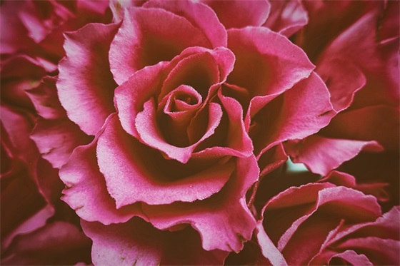 2026年高考励志口号简短霸气 高考励志句简短