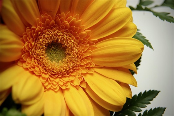 安全条幅标语100句