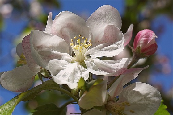 企业消防标语110句