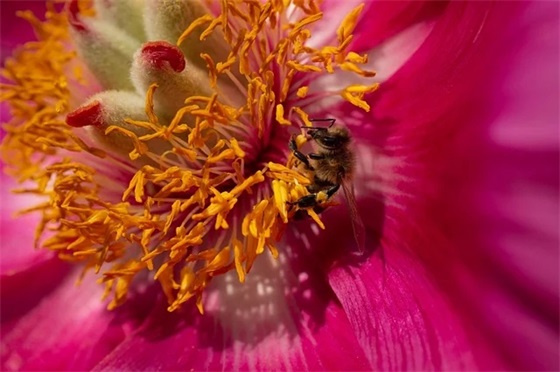 好的标语或广告词90句