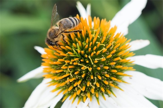 安全伴我行宣传标语98句