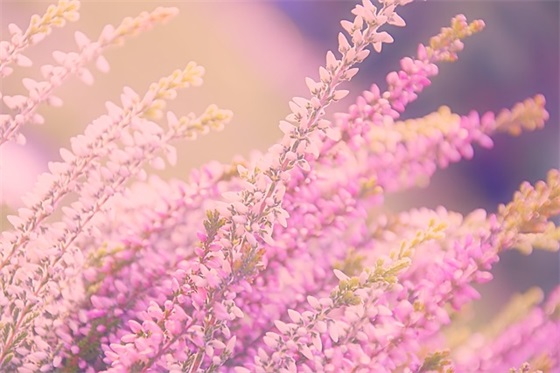 拌合站安全标语 拌合站安全环保标语