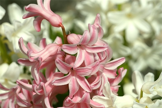 培训学校励志标语119句