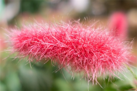 安全防范标语101句