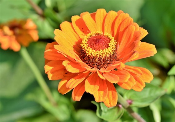 大学安全宣传标语104句