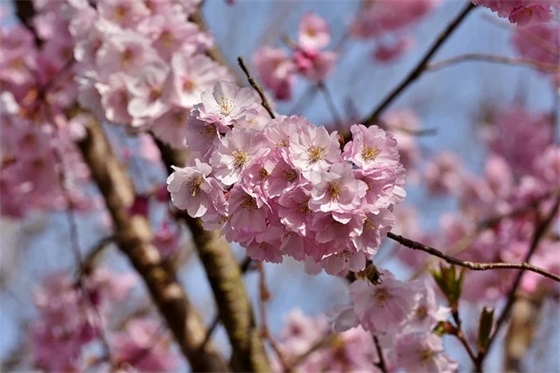 学校食品药品安全宣传标语