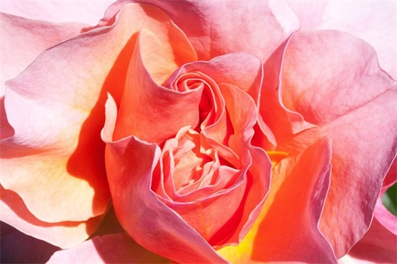 安全生产月标语93句