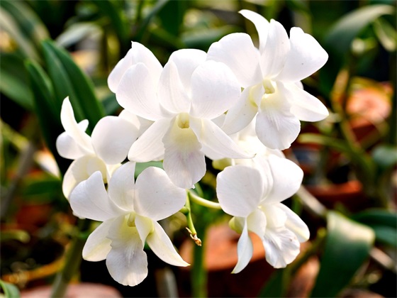 环境保护的标语105句