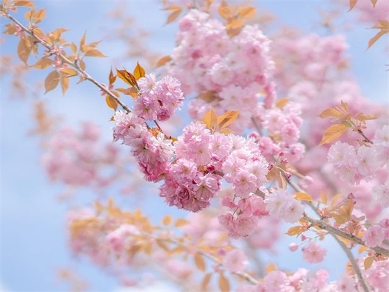 煤矿安全标语90句