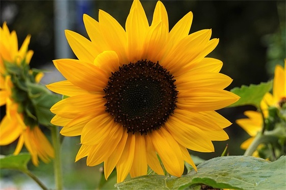 高二跑操班级口号82句