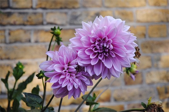 客户服务口号大全82句