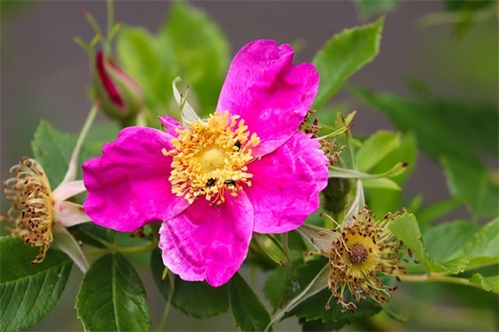 学校节约粮食宣传口号