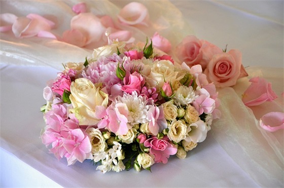 宝宝班口号83句