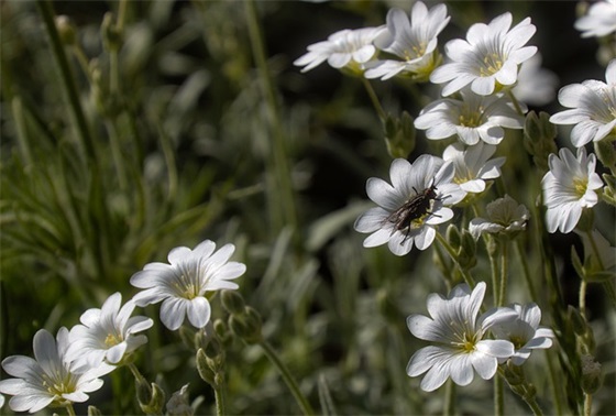 课前激励班级口号83句